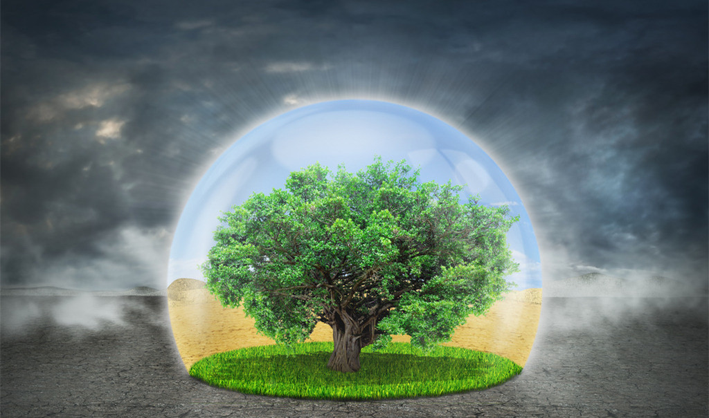 探索生命的奥秘:繁殖究竟有几种不同方式?_第一财经