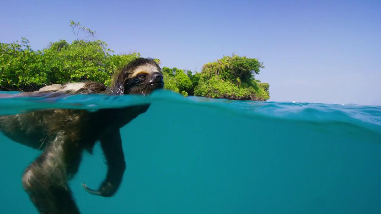【观剧指南】春节宅家，除了春晚还能看什么?_第一财经