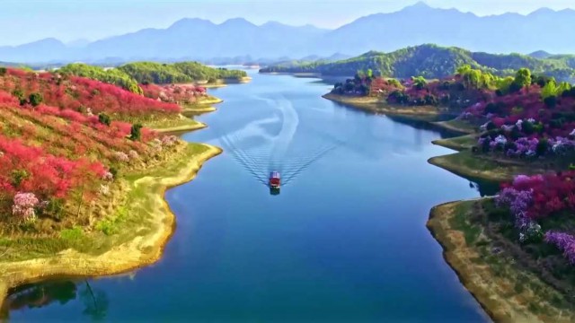 一天24小时，江西在发生什么（最新发布）