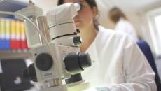 中西部人均gdp第一省内蒙古_内蒙古大草原图片