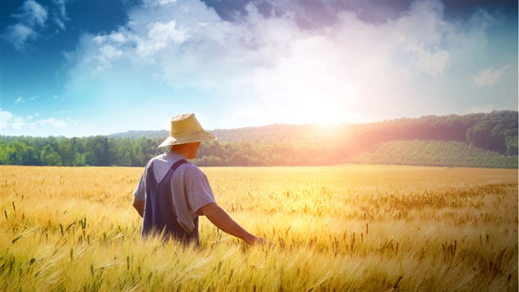 一财大直播:关于最新一号文件,听中央农村工作