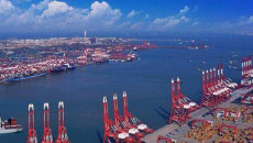 太仓40年GDP_太仓犬(3)