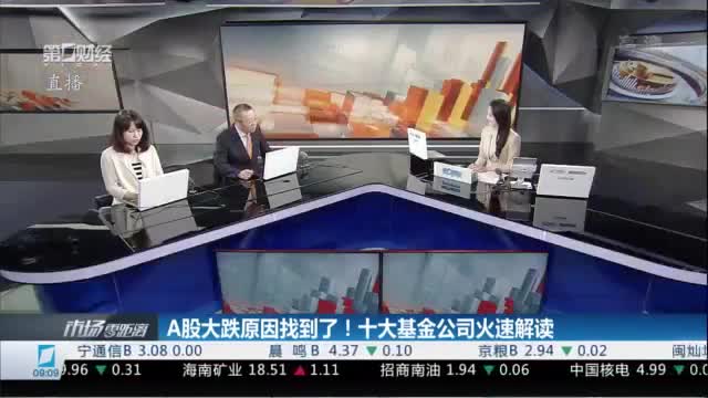 A股大跌原因找到了!十大基金公司火速解读