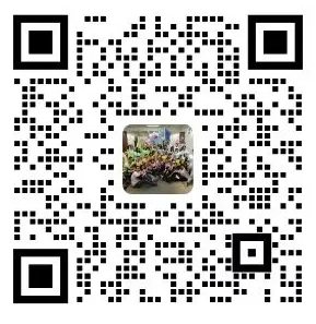 638852522543680000.png