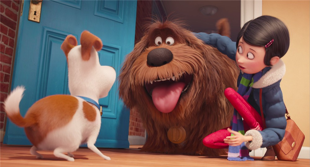 《爱宠大机密》:卖萌就是生产力,请别指望剧情