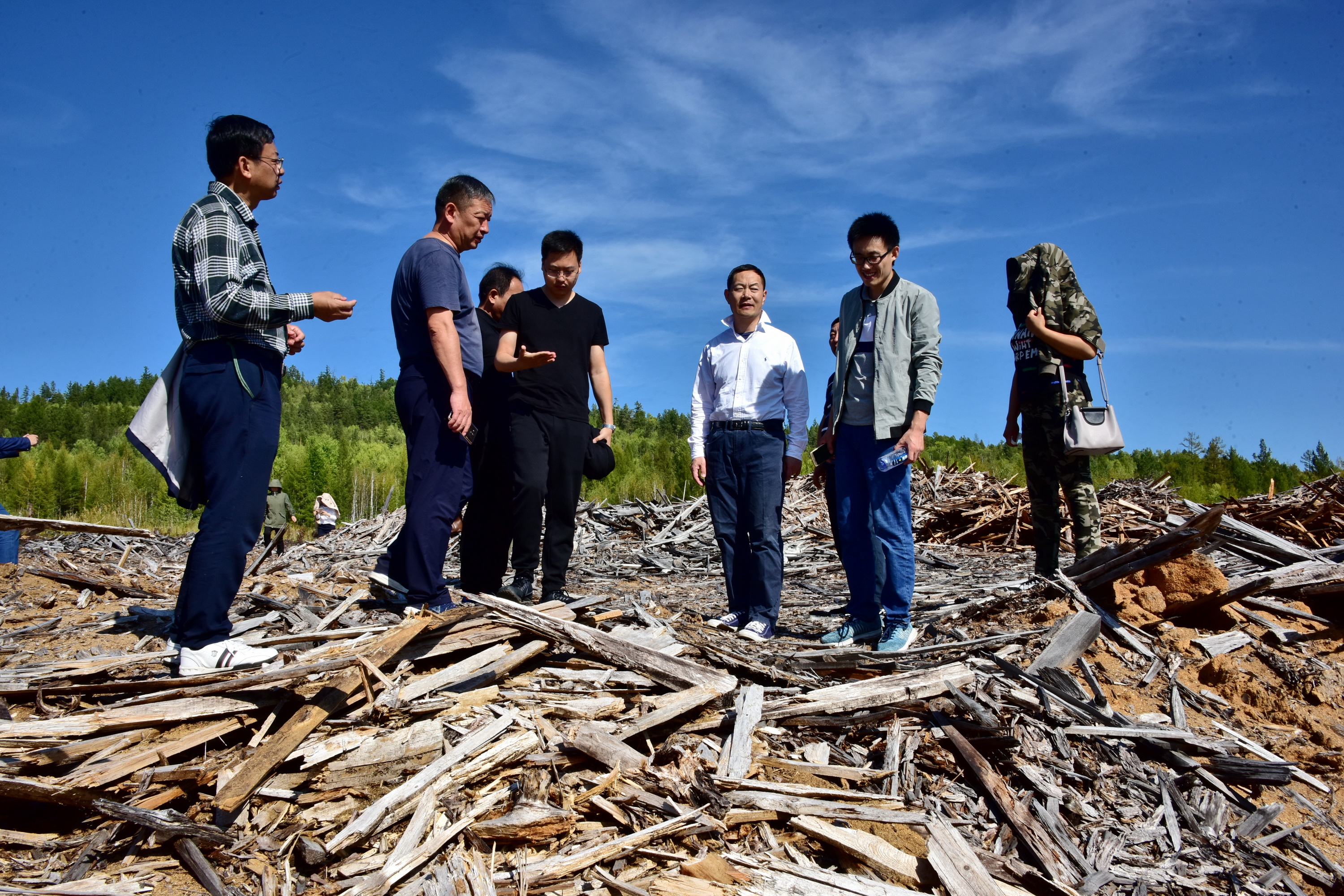 8月30日，黑龙江北极村国家级自然保护区缓冲区内的木材废弃场。摄影/章轲