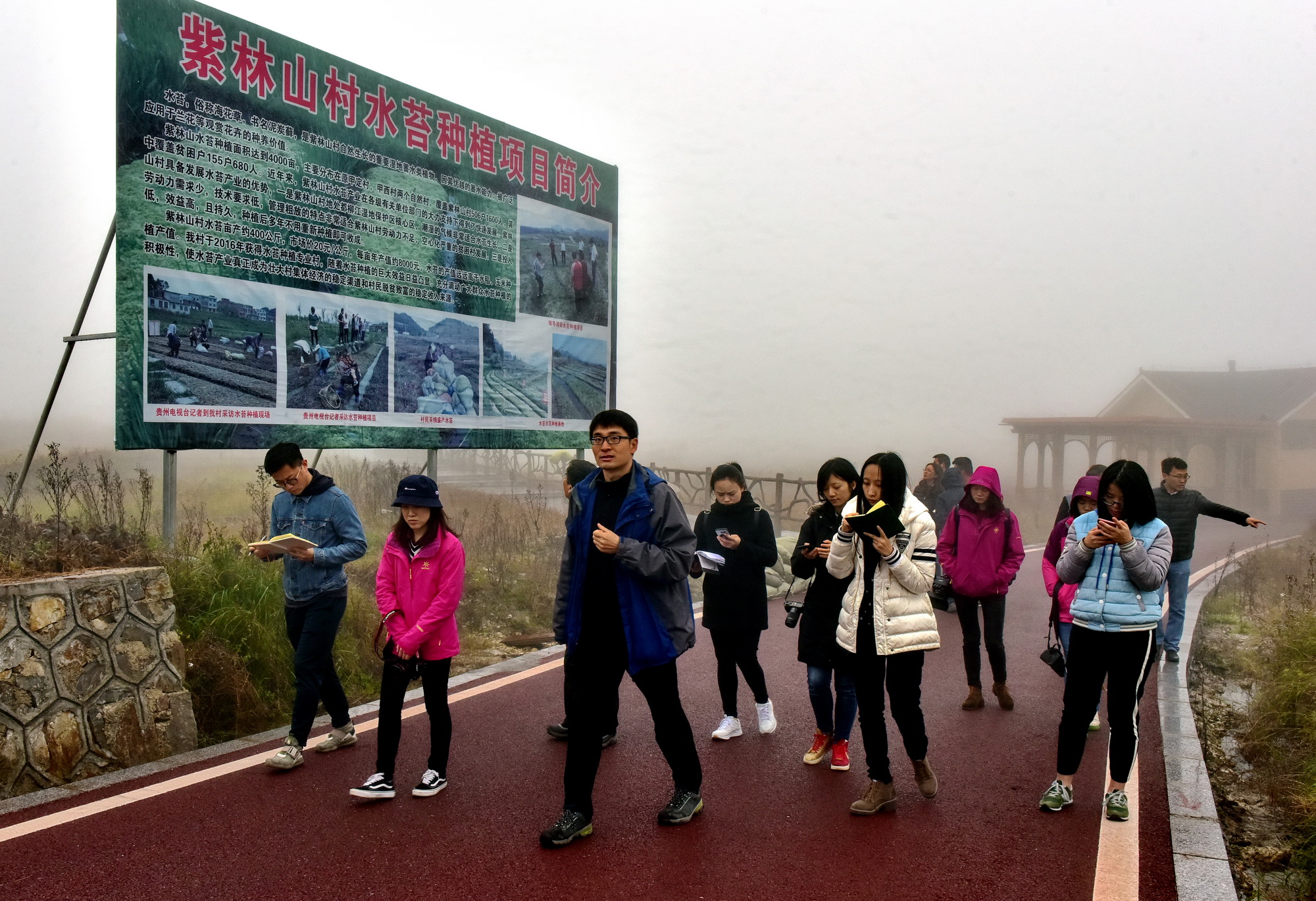 11月13日，贵州省独山县紫林山村挂职第一书记曲佳（中）向记者们介绍海花草种植情况。摄影/章轲