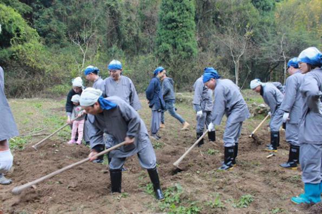 六带领学员们劳作