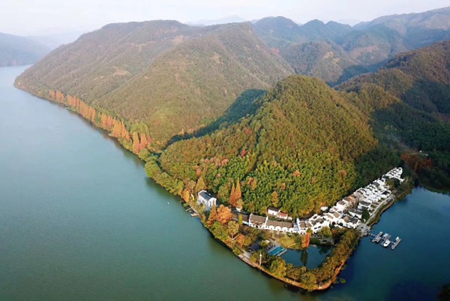 俱舍书院所在的富春江心独岛，坐拥百亩良田