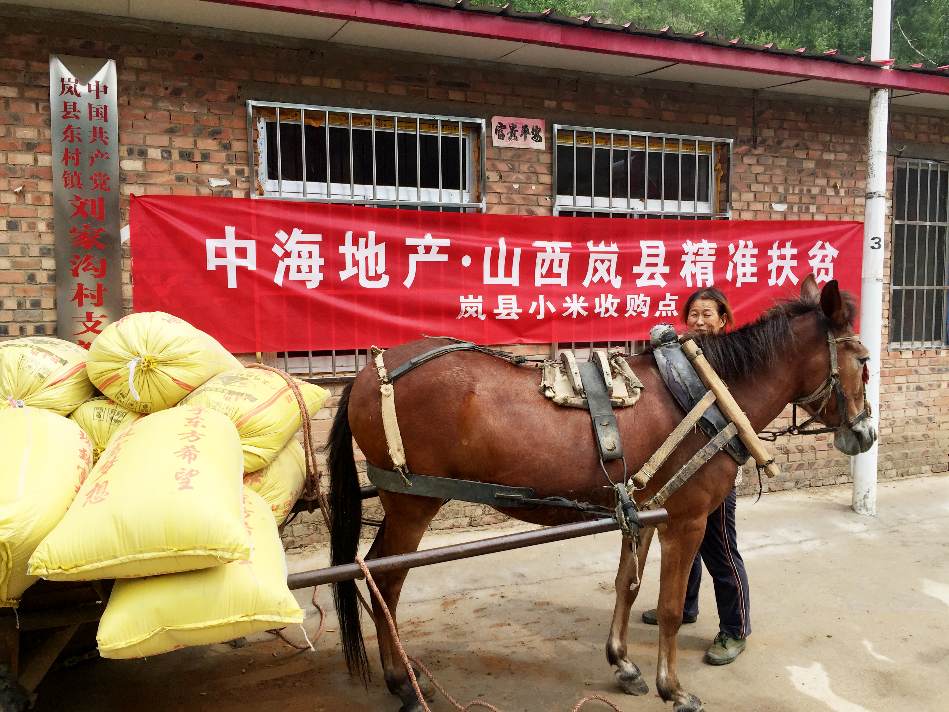 岚县小米收购点