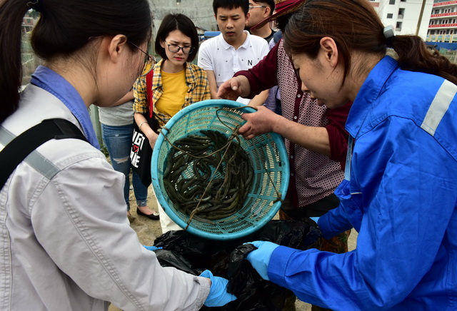 宁德核电监测人员在硖门畲族乡水产养殖地取样。摄影/章轲