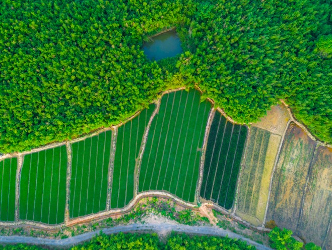 融创·莫干溪谷