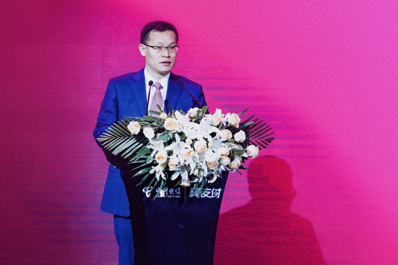 天翼电子商务有限公司总经理罗来峰大会致辞