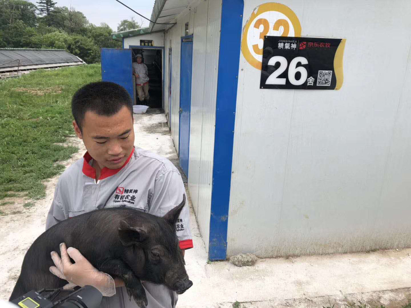 京东农牧智能养殖解决方案支持的农村养殖园区。   中国社会科学院供图