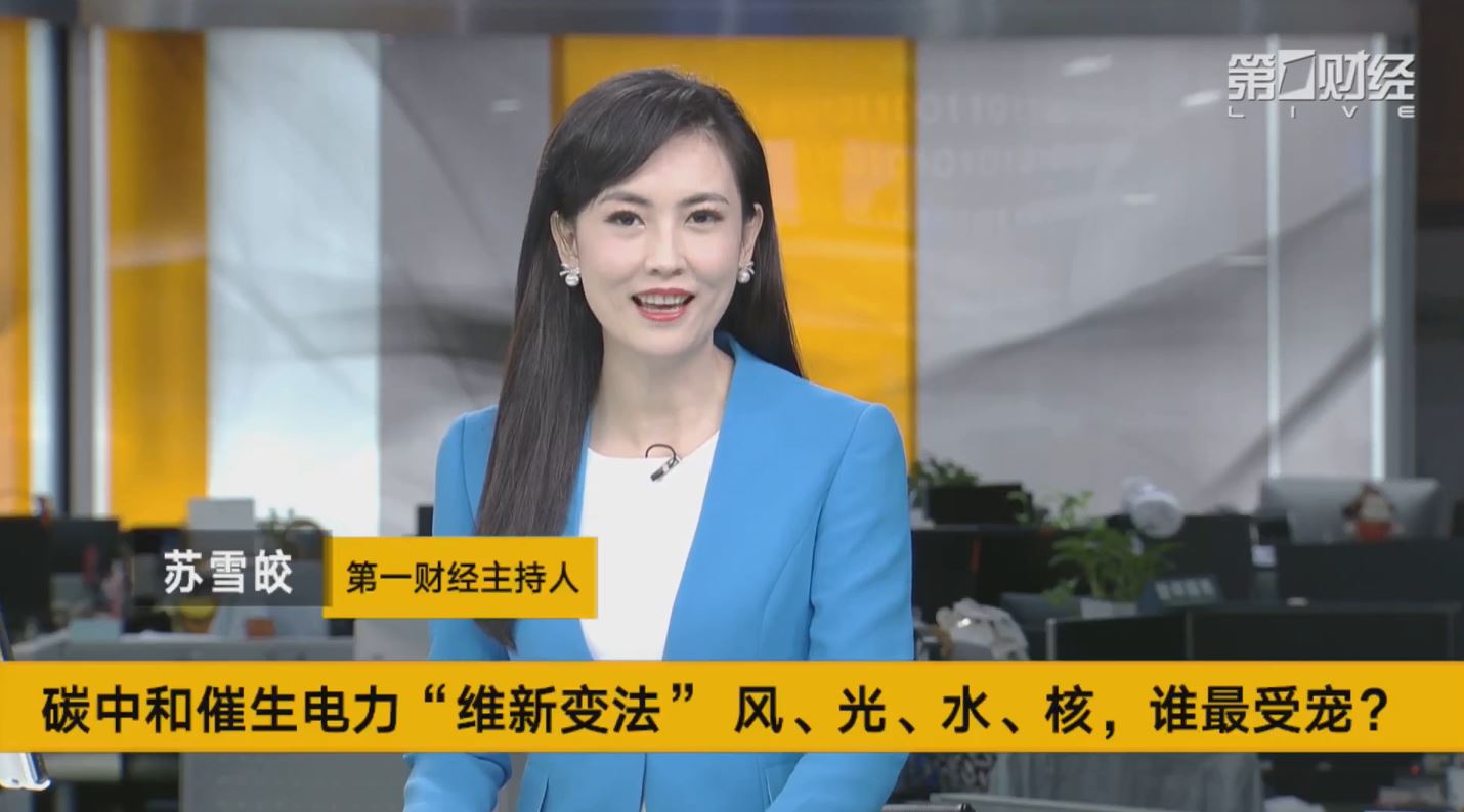 直播丨碳中和催生电力维新变法风光水核谁最受宠