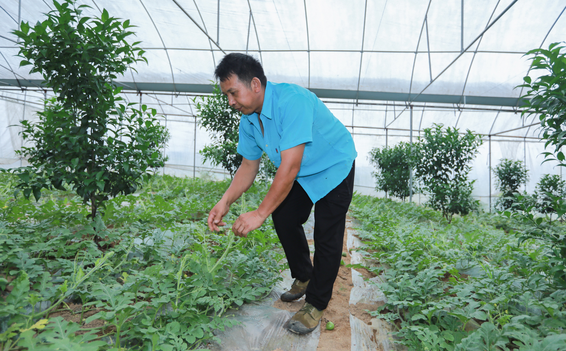 秀山土家族苗族自治县梅江镇兴隆坳村村民杨胜刚