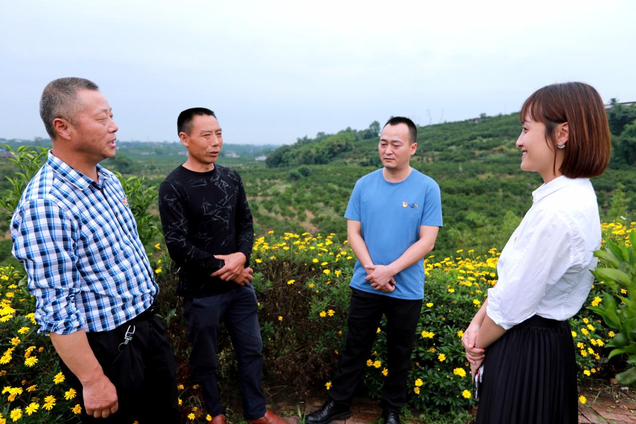 眉山市东坡区富牛镇花桥村党委书记 杨述成（左1）、眉山东坡区富牛镇 村民张兴学（左2）、眉山市东坡区富牛镇人民政府党委副书记 镇长 梁雨左（右2）、农行东坡支行副行长 刘铮铮（右1）