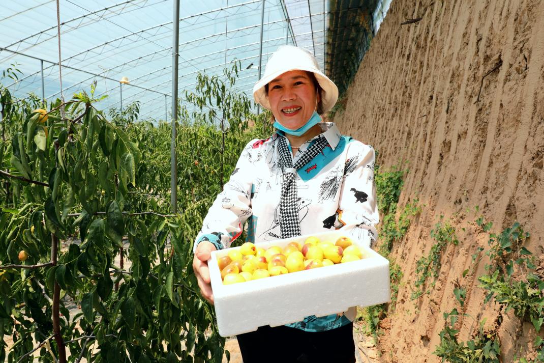 陕西省渭南市大荔县范家镇井庄村村民张桂莲