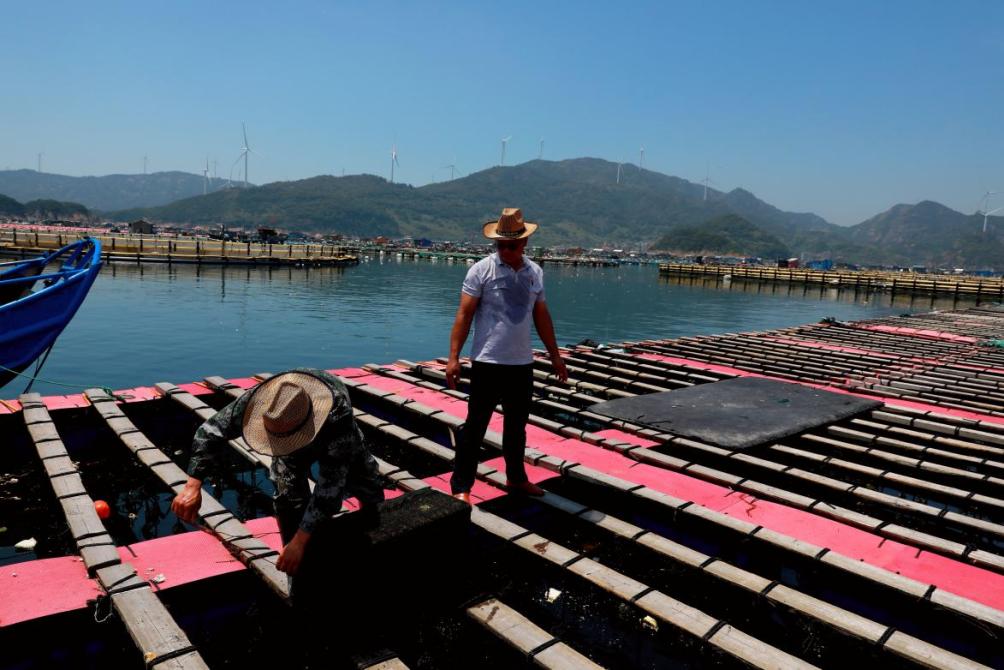 福建省福州市连江县安凯乡同心村渔民黄安登（左）、同心村党支部书记林连（右）