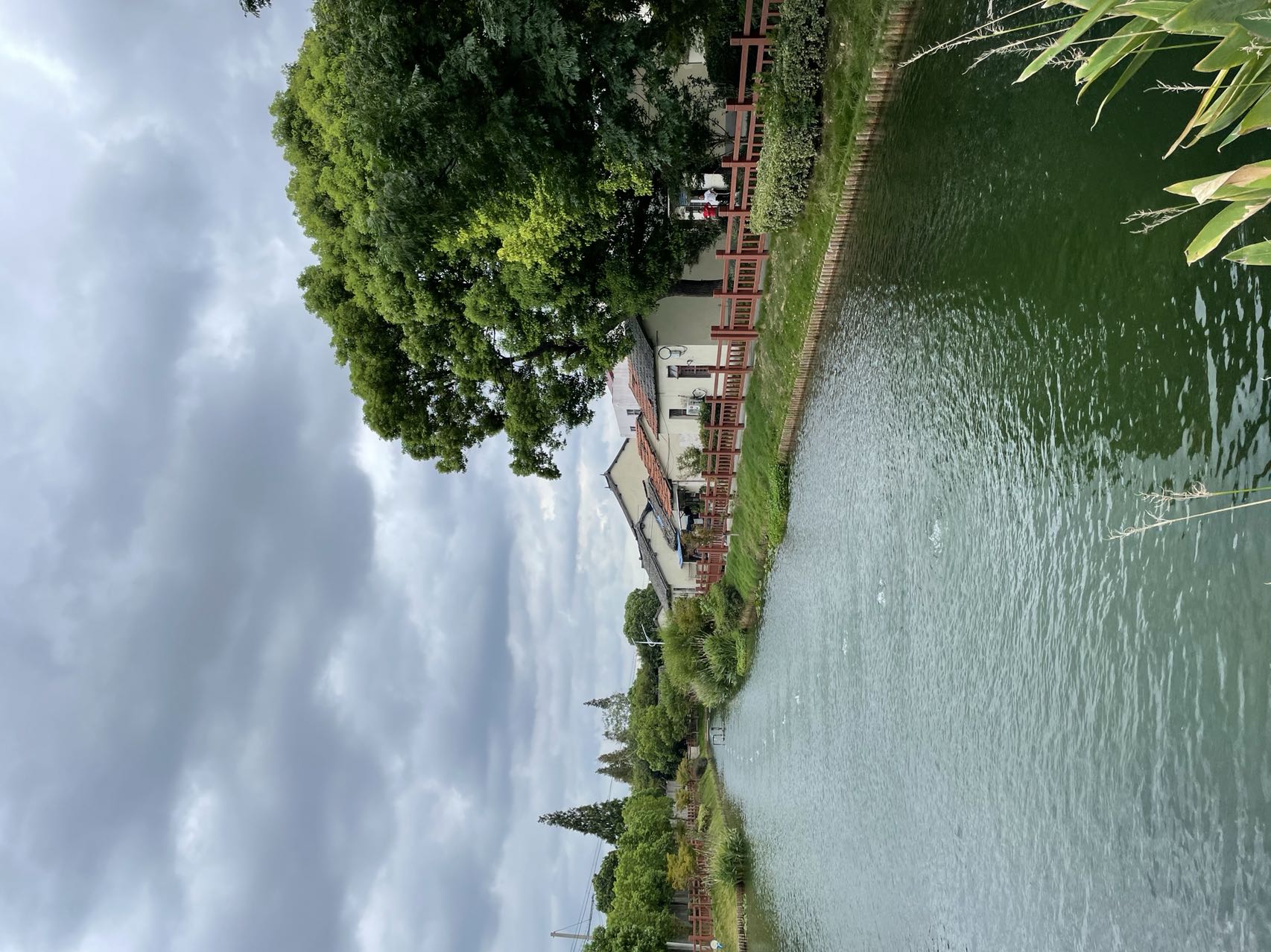 清澈见底、村民安居的吴泾镇和平村宅河一景