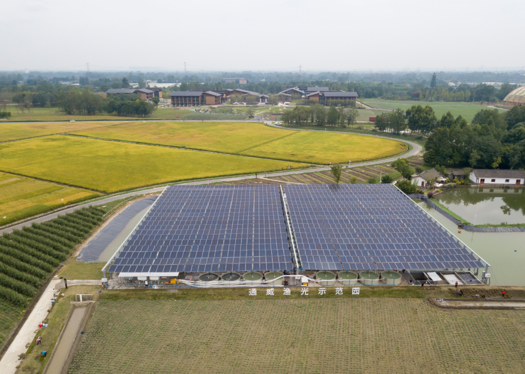 四川省成都市新津区中国天府农博园，通威渔光示范园