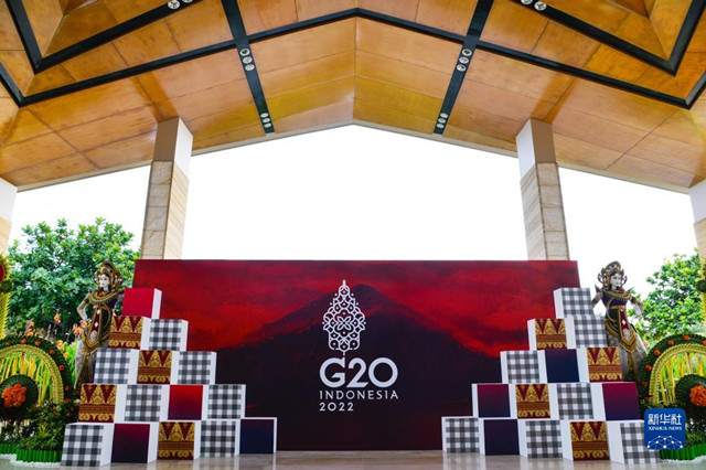 G20巴厘岛峰会(来源:新华社图)