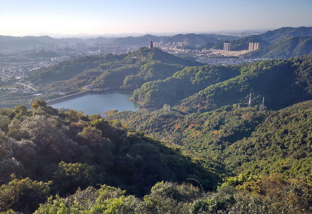 多地林业部门核查森林资源，严厉打击涉林违法行为
