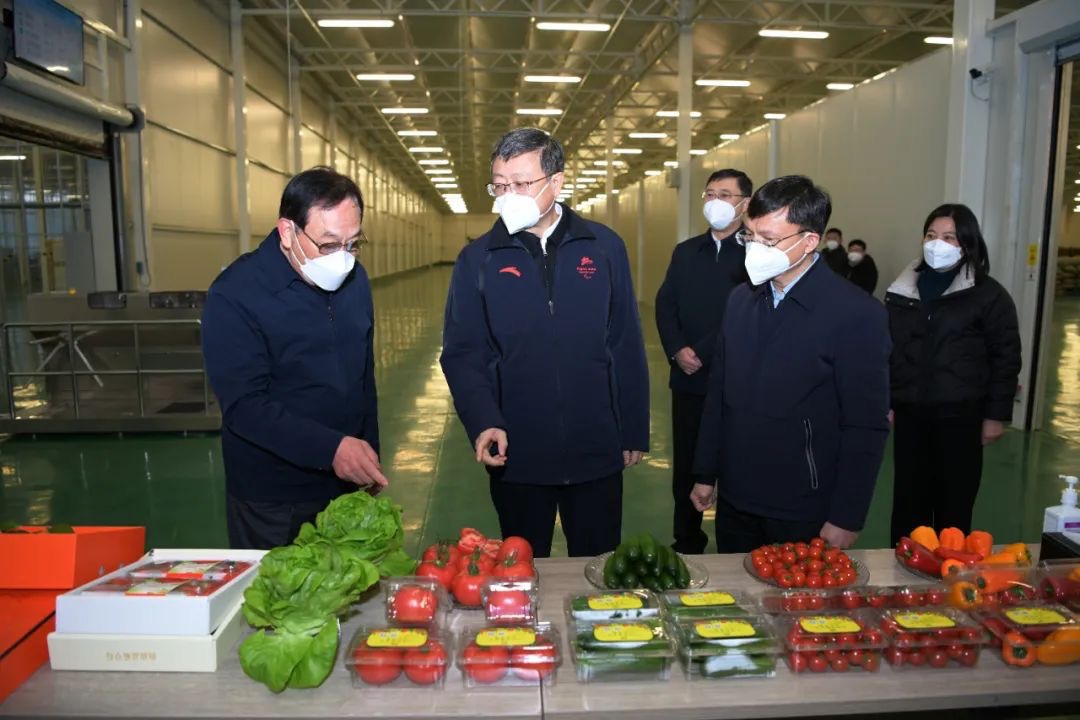 夯实绿色底色、筑牢生态底盘！陈吉宁在崇明调研世界级生态岛建设和农业农村现代化