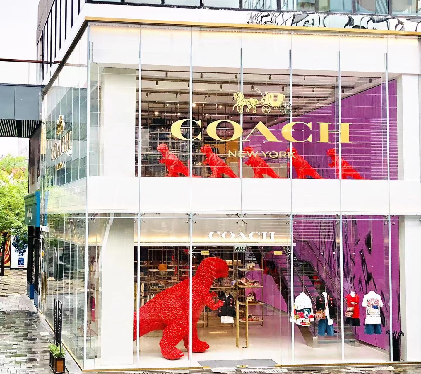 泰佩思琦本土化转型初见成效，三年内将在中国新开100家店