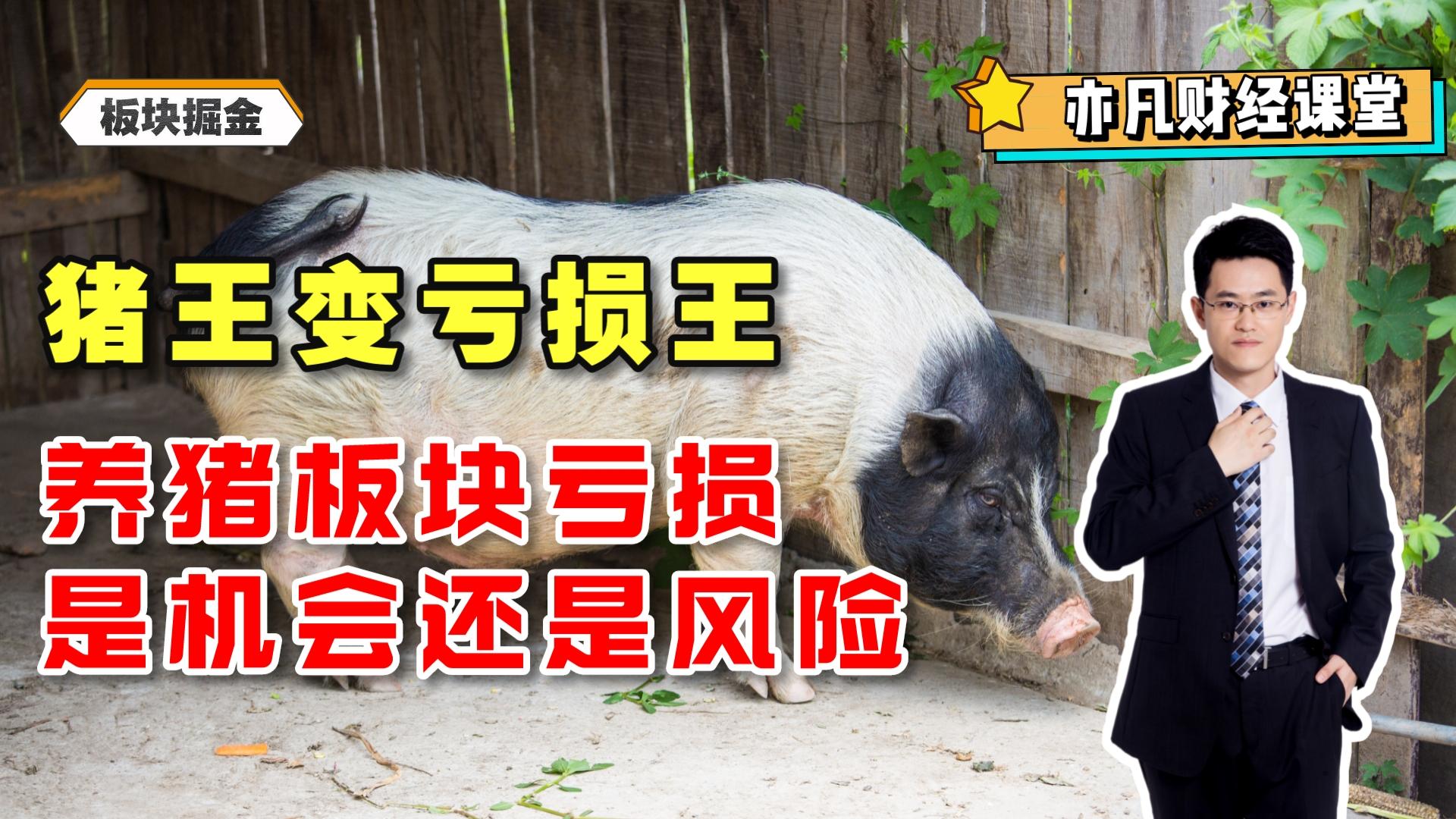 猪王变亏损王，养猪板块中报亏损是机会还是风险？