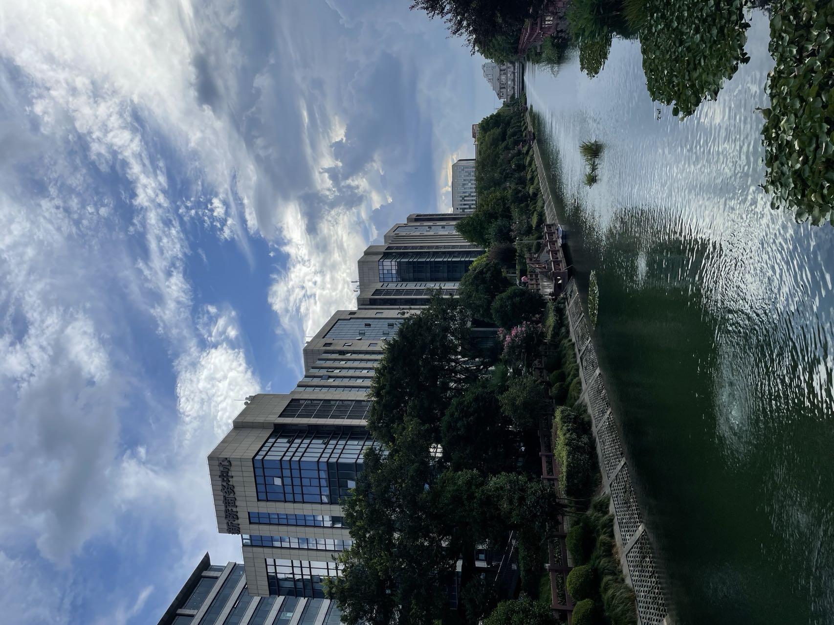 闵行区虹桥镇高门泾河道景观一览