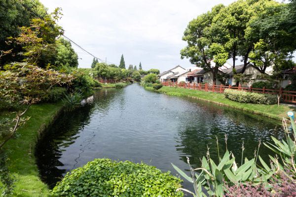 闵行区吴泾镇和平村经天河景观一览