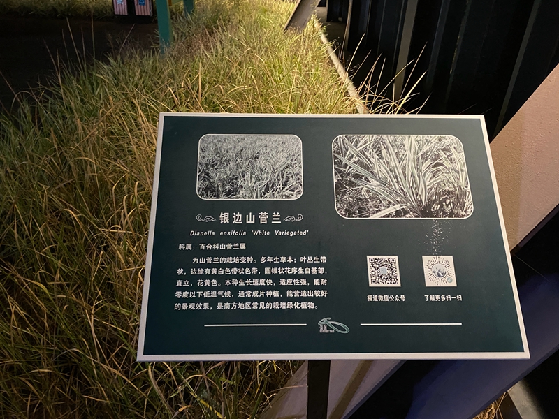 福道全程经过很多植物，因此配置了科普信息展示，辅助自然教育    摄影/佟鑫