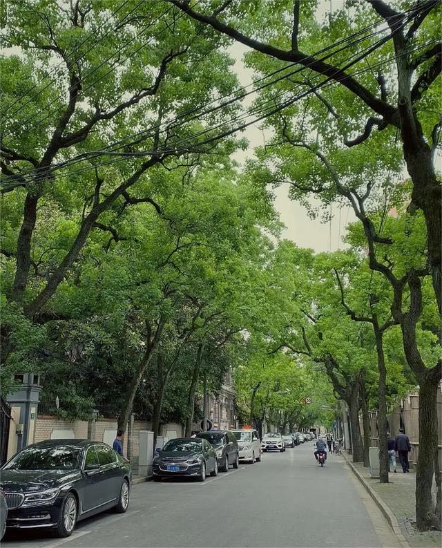 永嘉路系上海永不拓宽的六十四条马路之一