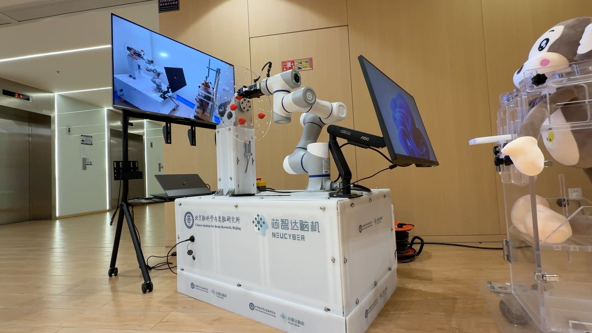 对标Neuralink，这款侵入式脑机接口明年有望临床 | 活力中国调研行__对标Neuralink，这款侵入式脑机接口明年有望临床 | 活力中国调研行