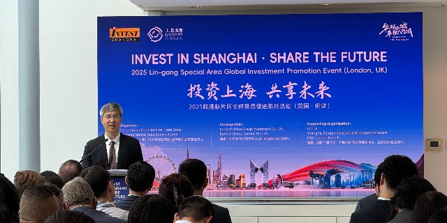 上海临港管委会常务副主任杨正伟（记者陈玺宇摄）