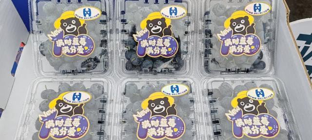 今年春季云南红河州蓝莓上海主题推介活动场景一览
