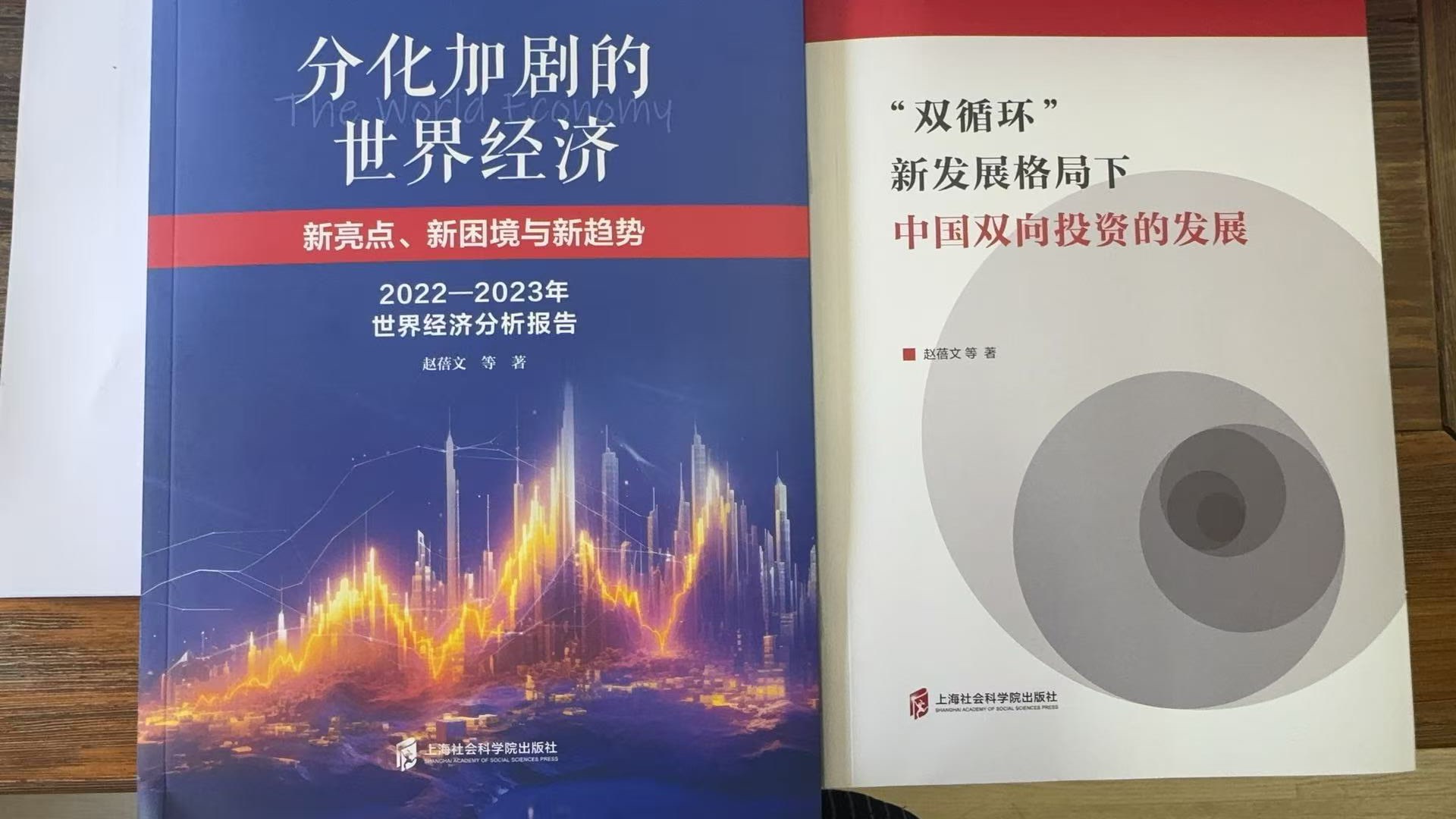 上海社科院世界经济研究所最新学术专著一览