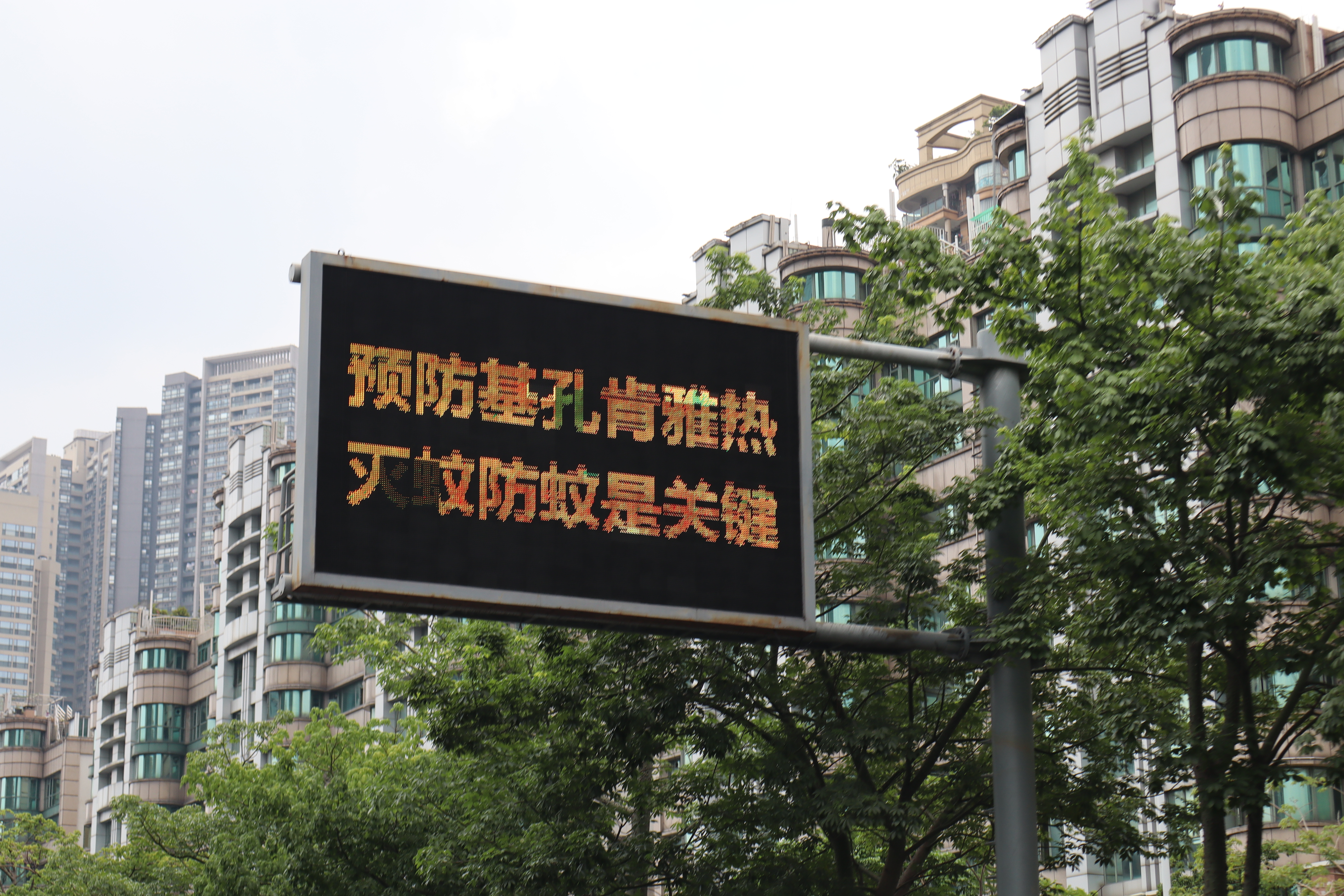 佛山市到处可见揭示防控基孔肯雅热的灯箱、路牌  林春挺 摄