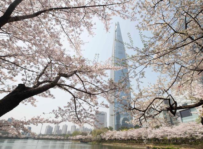 韩国对华团队游限时免签（来源：新华社资料图）