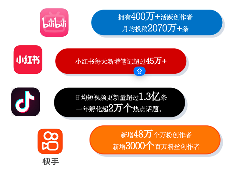 多平台构建的多层级创作者生态 数据来源：第55次《中国互联网络发展状况统计报告》 2024.12