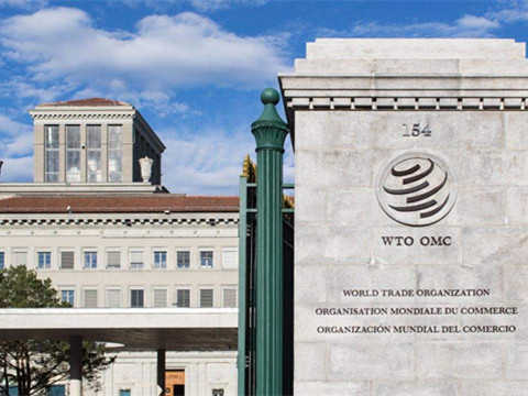 专家解读|中国在WTO谈判中不寻求新的特殊和差别待遇，意味着什么