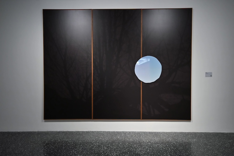 Beyond The Pale（出格），刘诗园，版画，2011，干玮玮收藏