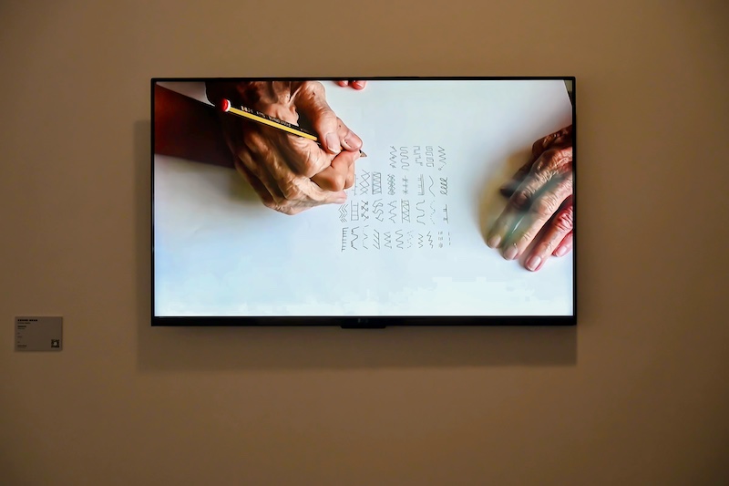 经历的时间，克里斯蒂娜·梅希亚斯，高清影像，2015，阿莉西亚·阿萨收藏