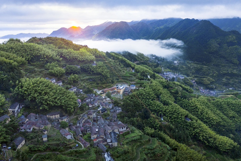 陈家铺村（受访人供图）