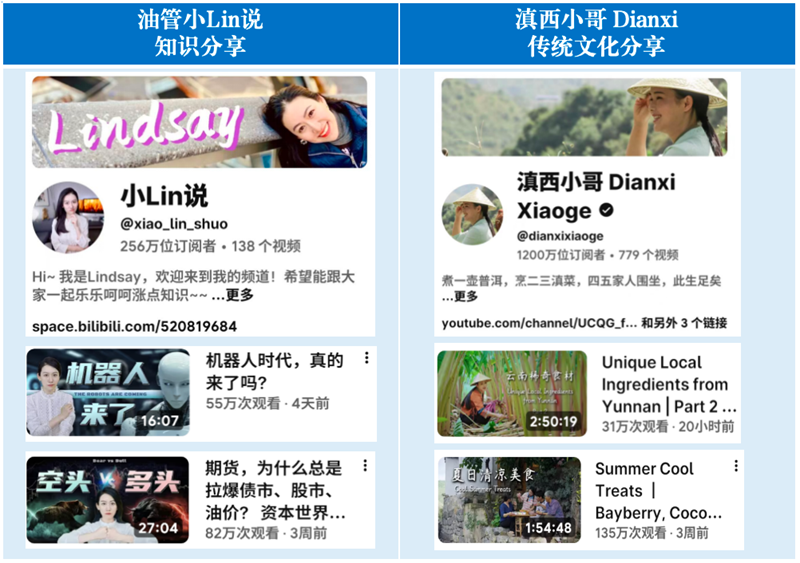 海外创作者的知识分享与文化传播