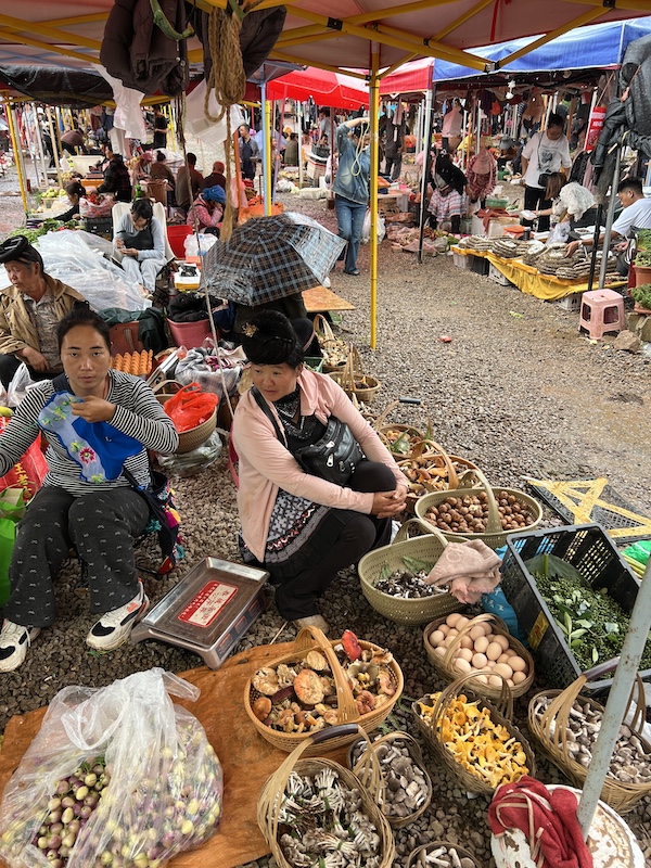 离昆明半个小时车程的乡街子太平哨位于苗族聚居区,是最为传统的集市。半夏寻访那天下着雨,但山民依旧拎着菌子来赶集。  摄影/半夏