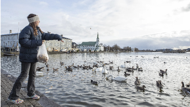冰岛首都雷克雅未克 （来源：新华社）