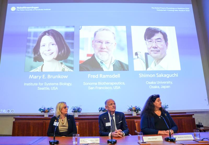 量子世界、新疗法与新材料，三大自然科学诺奖助产业突进