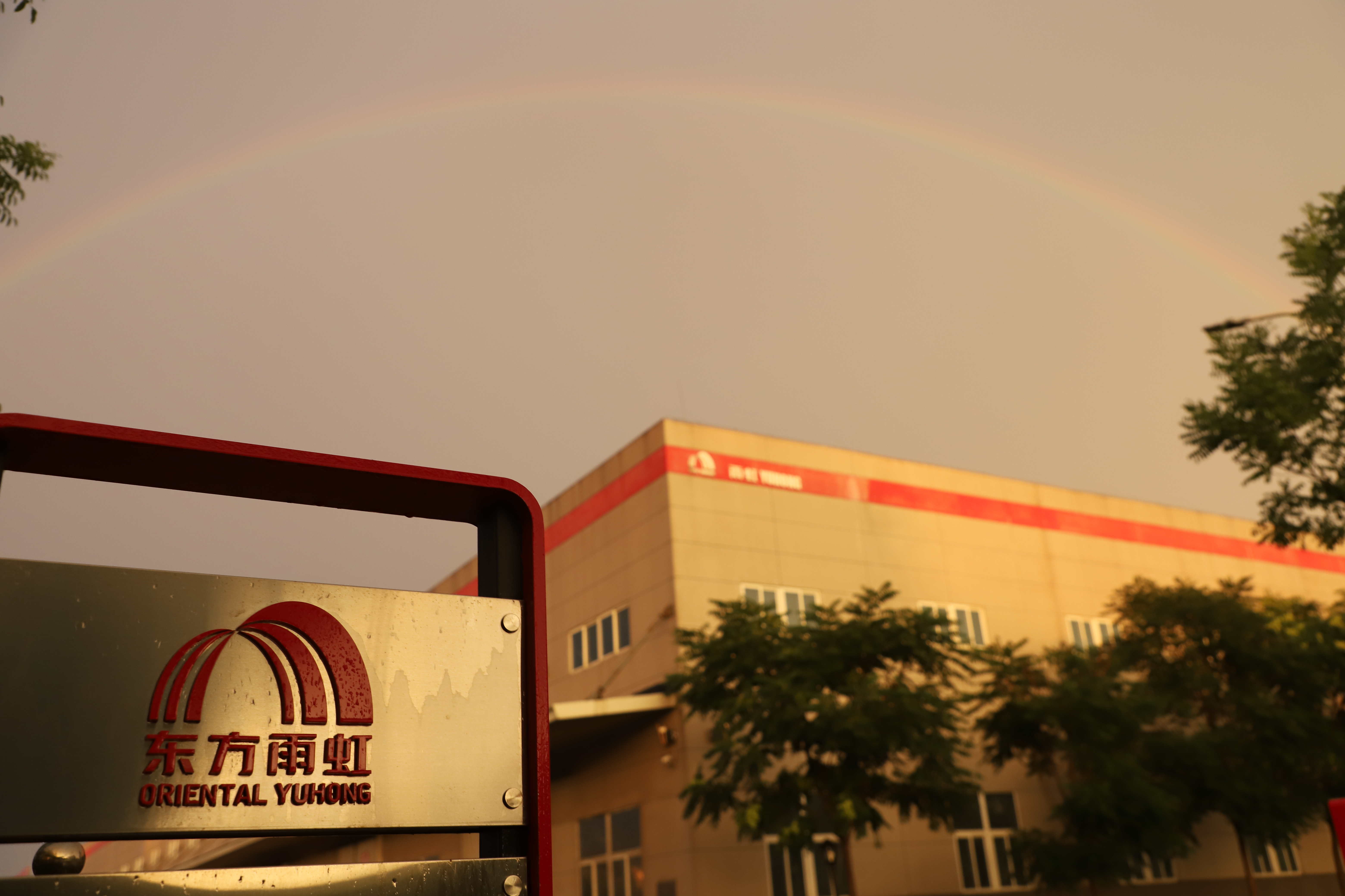 转型与出海战略加持，东方雨虹交出第三季度增收答卷